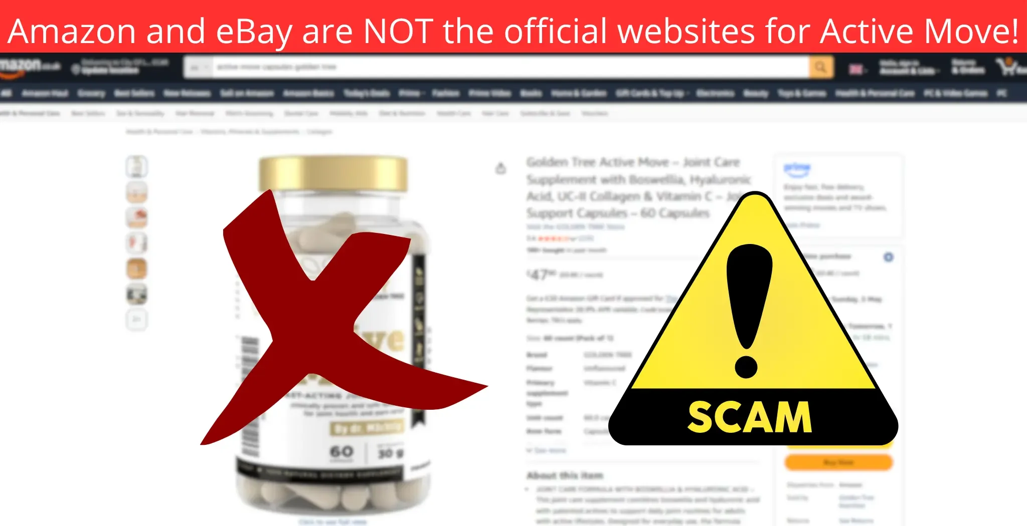 Amazon and eBay are NOT the official websites for Active Move!